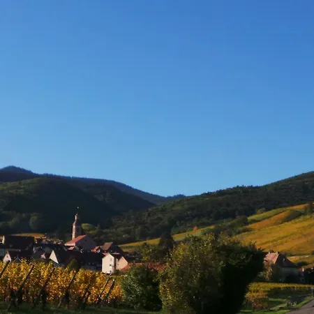 Appartamento Au Petit Paradis - Strasbourg Sud *